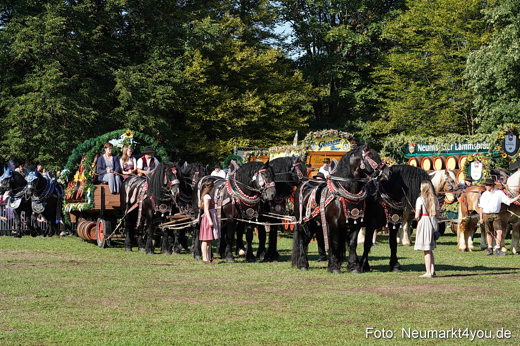 Pferde und Fohlenschau 2022 0037 